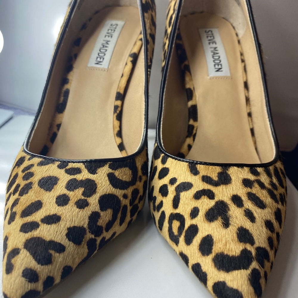 Suede Steve Madden